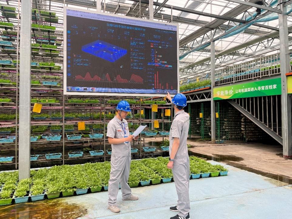 向“新”而动 向“质”而行 中国电信山东公司加快打造新质生产力(图2)