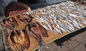 OD体育官方2024物联网行业现状及整体规模、发展前景分析(图6) OD体育官方2024物联网行业现状及整体规模、发展前景分析(图6)