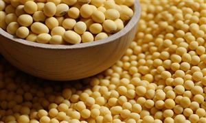 物联网行业市场全景调研:20OD体育官方24年物联网市场规模将达到万亿美元(图2) 物联网行业市场全景调研:20OD体育官方24年物联网市场规模将达到万亿美元(图2)