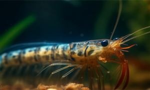 物联网行业市场全景调研:20OD体育官方24年物联网市场规模将达到万亿美元(图5) 物联网行业市场全景调研:20OD体育官方24年物联网市场规模将达到万亿美元(图5)