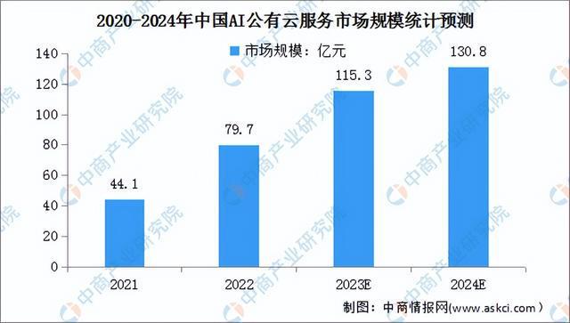 2024年中国公有云服务行业市场前景预测研究报告（简版）(图7)