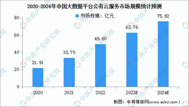 2024年中国公有云服务行业市场前景预测研究报告（简版）(图5)