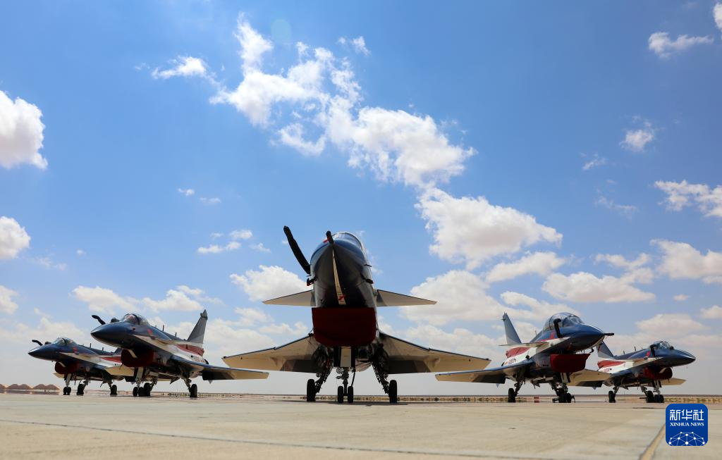 中国空军亮相埃及航展 运-20进行飞行展示(图15)